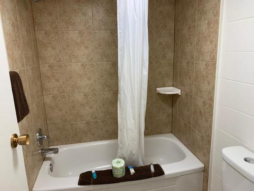 大草原城Westport Inn的带浴缸和盥洗盆的淋浴浴室