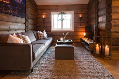 斯特兰达Strandafjellet Mountain Lodge的带沙发和电视的客厅