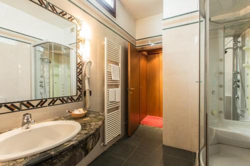 罗纳特波佐罗Airport Hotel Malpensa的一间带水槽和淋浴的浴室