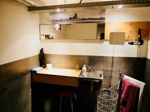 多德雷赫特StudioPlus的一个带水槽和镜子的小厨房