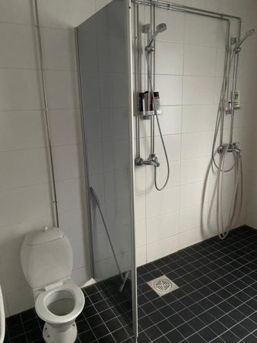 普马拉Villa Saimaan Sydän的浴室内带卫生间的淋浴间