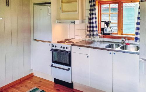 希塞里贝克Gorgeous Home In Sysslebck With Kitchen的厨房配有白色橱柜、水槽和烤箱。