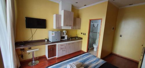 康塞普西翁Apart Hotel Uman的一间带水槽和微波炉的小厨房