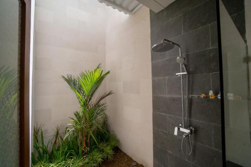 塞米亚克居安达别墅酒店的浴室设有带淋浴喷头的淋浴,配有植物