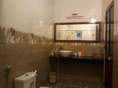 宁平An Phu's Garden House的一间带卫生间、水槽和镜子的浴室