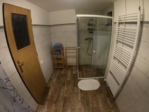 泽勒兹纳·鲁达Apartmán U Sjezdovky的带淋浴、卫生间和门的浴室