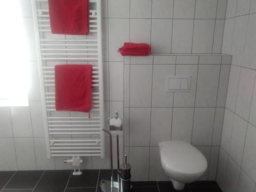 PölsBike Pension Knausz的浴室设有白色卫生间和红色毛巾。