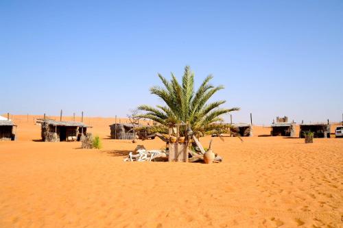 Nomadic Desert Camp