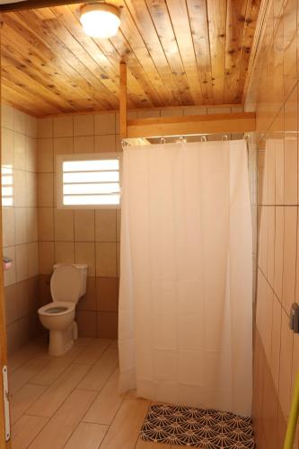 圣若瑟Gîte des Dodos的一间带卫生间和淋浴帘的浴室