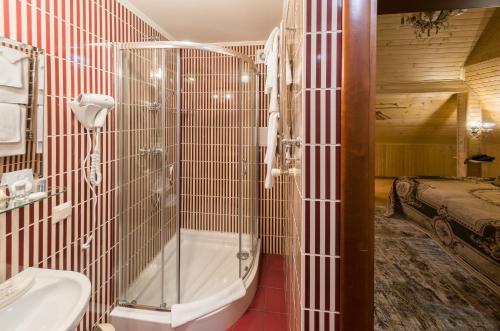 伊万诺-弗兰科夫斯克比斯特里斯亚力士酒店的带淋浴、卫生间和盥洗盆的浴室