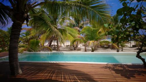玛哈威Almaplena Boutique Hotel的一座棕榈树环绕的游泳池