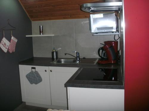 埃尔伯蒙波米尔杜尔全酒店的一间带水槽和微波炉的小厨房