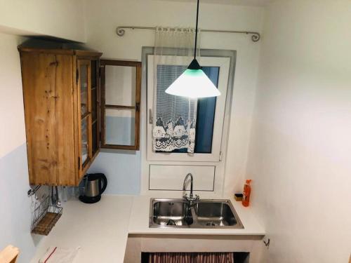 博尔扎诺温特勒公寓的厨房设有水槽和窗户。