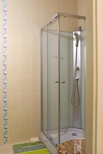 米什科尔茨道波曹韦德哥全景酒店的浴室内带玻璃淋浴间