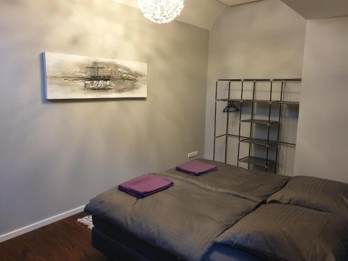 特里尔Appartement Schepper's的一间卧室配有一张带紫色靠垫的床。