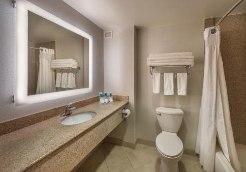 卡森市卡森市智选假日酒店的一间带水槽、卫生间和镜子的浴室