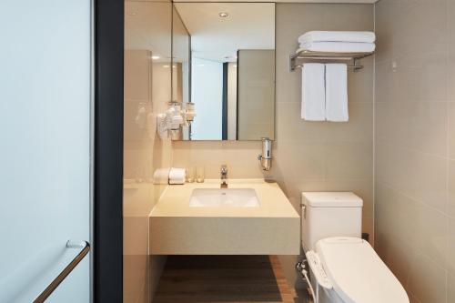 首尔首尔弘大智选假日酒店的一间带水槽、卫生间和镜子的浴室