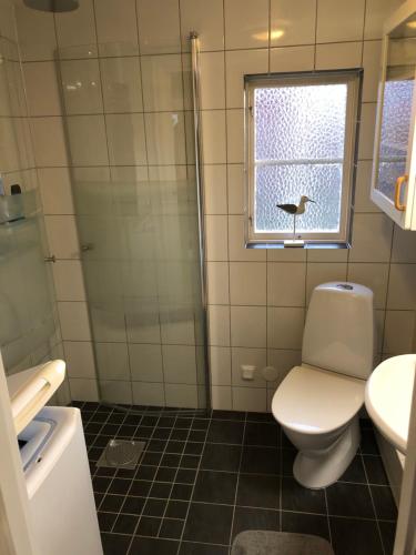 卡尔斯港Badstugan的一间带卫生间、水槽和窗户的浴室