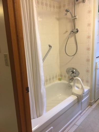 布莱顿布尔根住宿加早餐旅馆的浴室配有浴缸和淋浴及浴帘