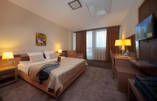 波斯托伊纳嘉仕酒店 的配有一张床和一台平面电视的酒店客房