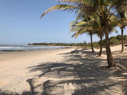 斯基灵角Amigo 2的沙滩上的棕榈树