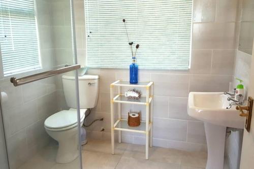开普敦Harbour View Guest Suite的白色的浴室设有卫生间和水槽。