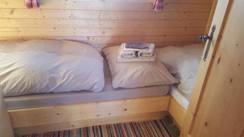 图尔菲斯Walters Hütte的小屋内的小房间设有两张床