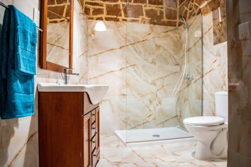 维多利亚Ta' Marta Lodge的一间带水槽、卫生间和淋浴的浴室