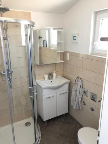 特罗吉尔纳尼托公寓 的一间带水槽、淋浴和卫生间的浴室