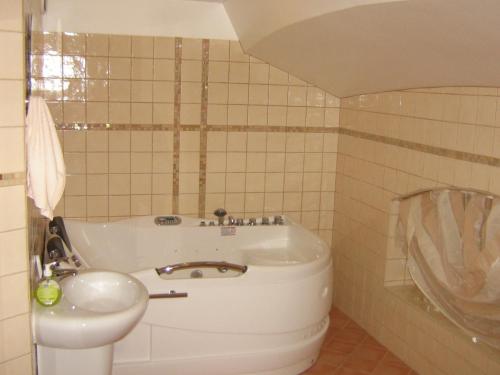 萨拉斯森林酒店的一间浴室