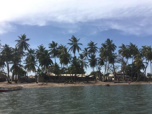 Jinack IslandFeel Free Lodge的棕榈树海滩和水中小船