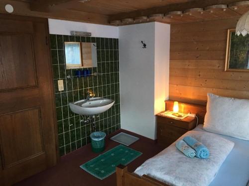 平茨高谷地霍勒尔斯巴赫Mitterhaidgut的客房内的浴室设有床和水槽