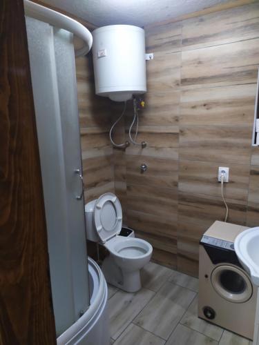 米特洛瓦克Vila Balerina的一间带卫生间和水槽的浴室