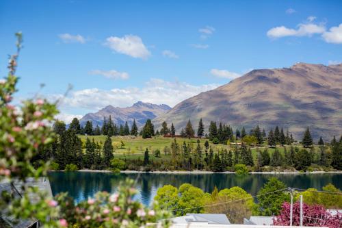 皇后镇Stay of Queenstown的相册照片