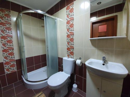 AlbigowaAlbinos的浴室配有卫生间、盥洗盆和淋浴。