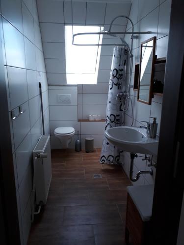 Briedeler HeckFerienwohnung Eiernest的一间带水槽和卫生间的浴室以及窗户。