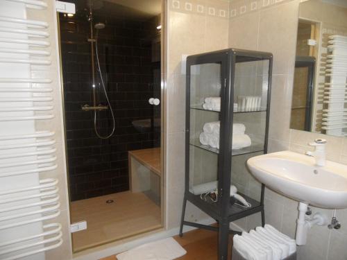 Horebeke克赛乐59住宿加早餐酒店的带淋浴、盥洗盆和淋浴的浴室
