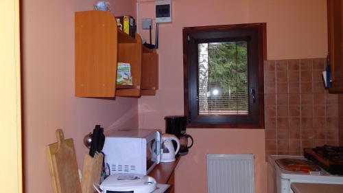 特利斯图德内osada yukon的带微波炉的小厨房和窗户。