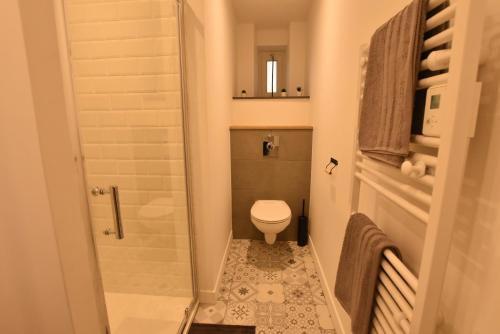 瓦兹河畔欧韦LE COTTAGE AUVERSOIS - Rdc -T2 -的一间带卫生间和淋浴的小浴室