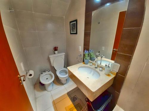 门多萨Departamento Encantador monoambiente Domaine Laborde I的一间带水槽、卫生间和镜子的浴室