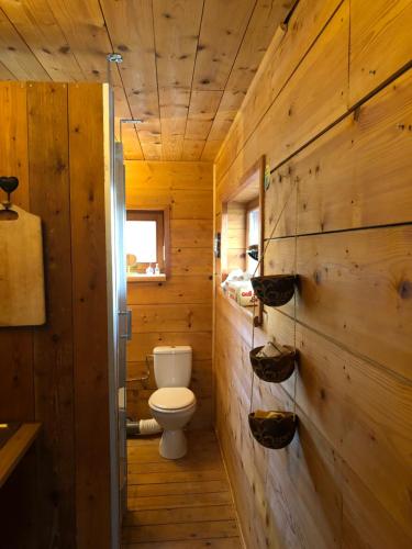 RothbachSunrise Cabin et Sauna的小木屋内带卫生间的浴室