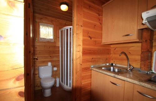 VíuHotel, Bungalows y Camping Viu的一间带卫生间和水槽的小浴室