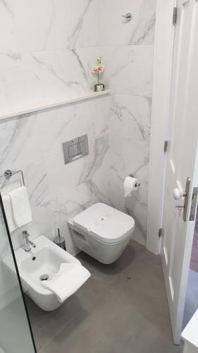 丰沙尔Edificio Charles 303的白色的浴室设有卫生间和水槽。