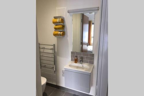 Mourneview Loft - Luxury Apartment的一间浴室