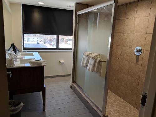 尚佩恩Holiday Inn Champaign, an IHG Hotel的带淋浴、盥洗盆和镜子的浴室
