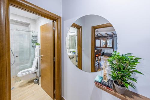 兹拉蒂博尔Apartment ERAK HILL的一间带卫生间和镜子的浴室