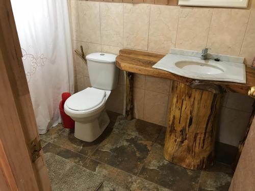 梅利佩乌科Doña Marta del Truful的浴室配有白色卫生间和盥洗盆。