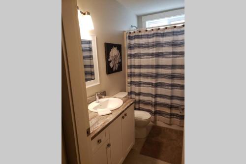 纳奈莫A Cozy Family get away suite in South Nanaimo的一间带水槽、卫生间和淋浴的浴室