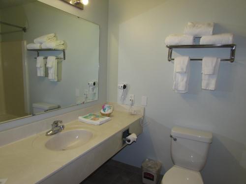 杜邦费尔布里奇套房酒店的一间浴室