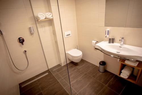 加姆利茨eckbergerhof的带淋浴、卫生间和盥洗盆的浴室